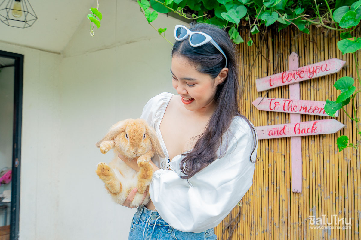 The Castello Resort ที่พักสีสันสดใสสุดน่ารักสไตล์อิตาลี @เกาะล้าน จ.ชลบุรี