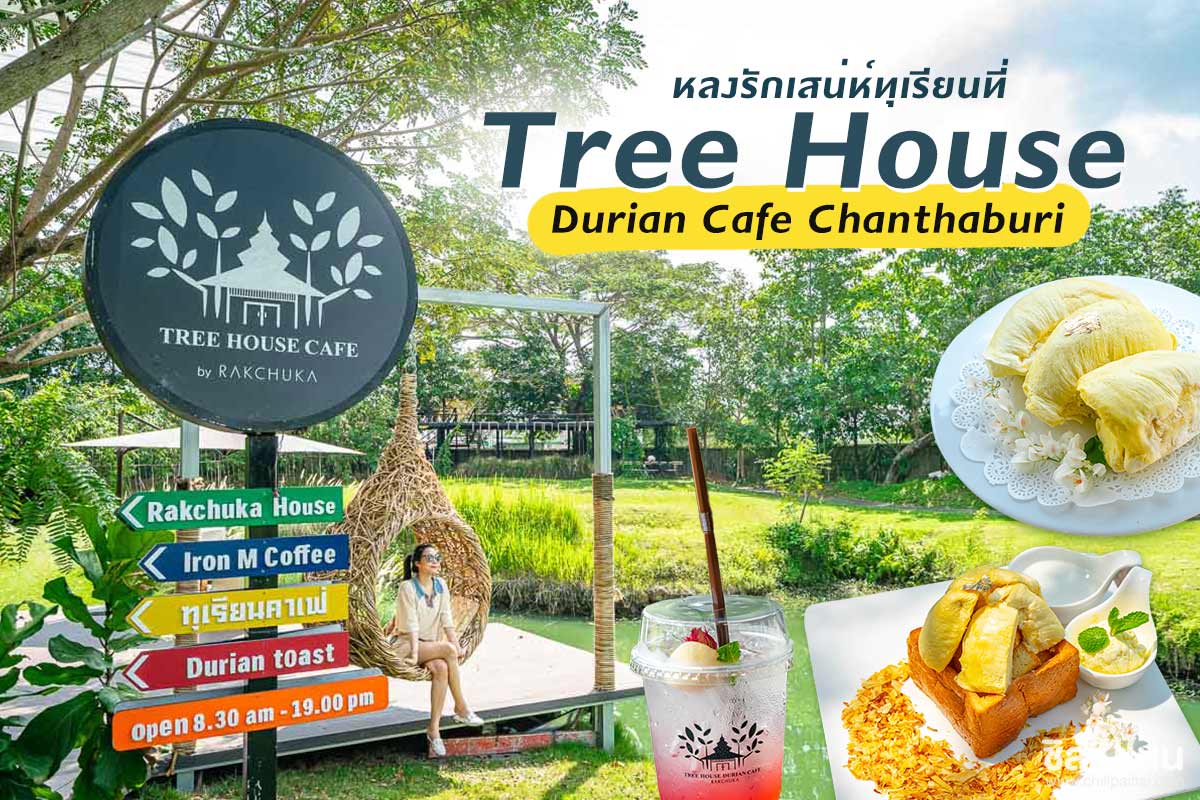 Tree House Durian Cafe Chanthaburi