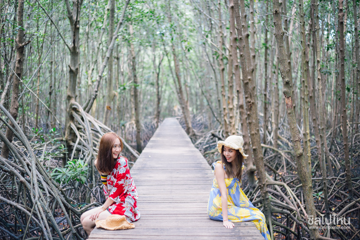 ศูนย์ศึกษาธรรมชาติป่าชายเลนอ่าวคุ้งกระเบน - ที่เที่ยวจันทบุรี