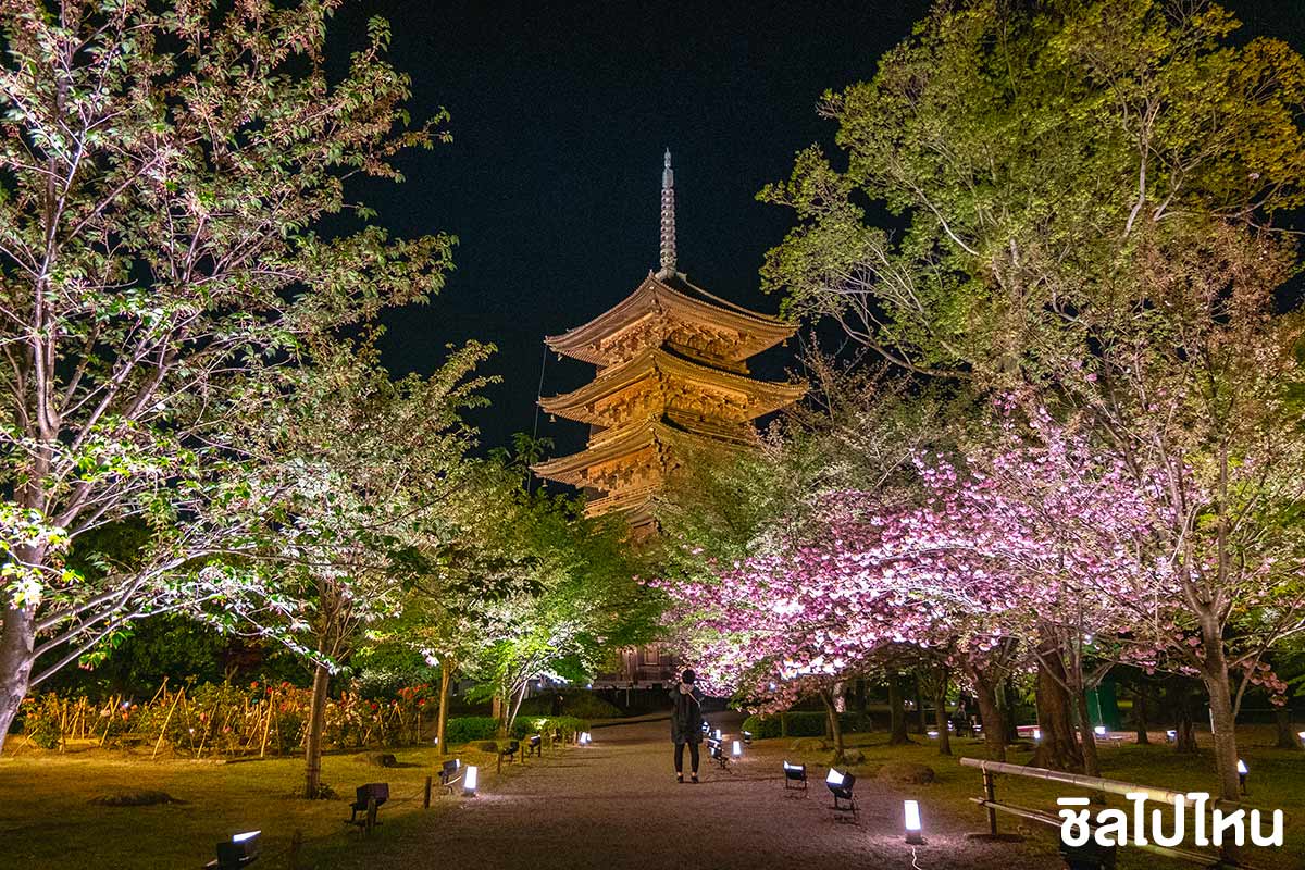 15 ที่เที่ยวเกียวโต เมืองสวยแห่งคันไซพร้อมปักหมุดจุดชมใบไม้แดงและซากุระ อัปเดตใหม่รับปี 2566