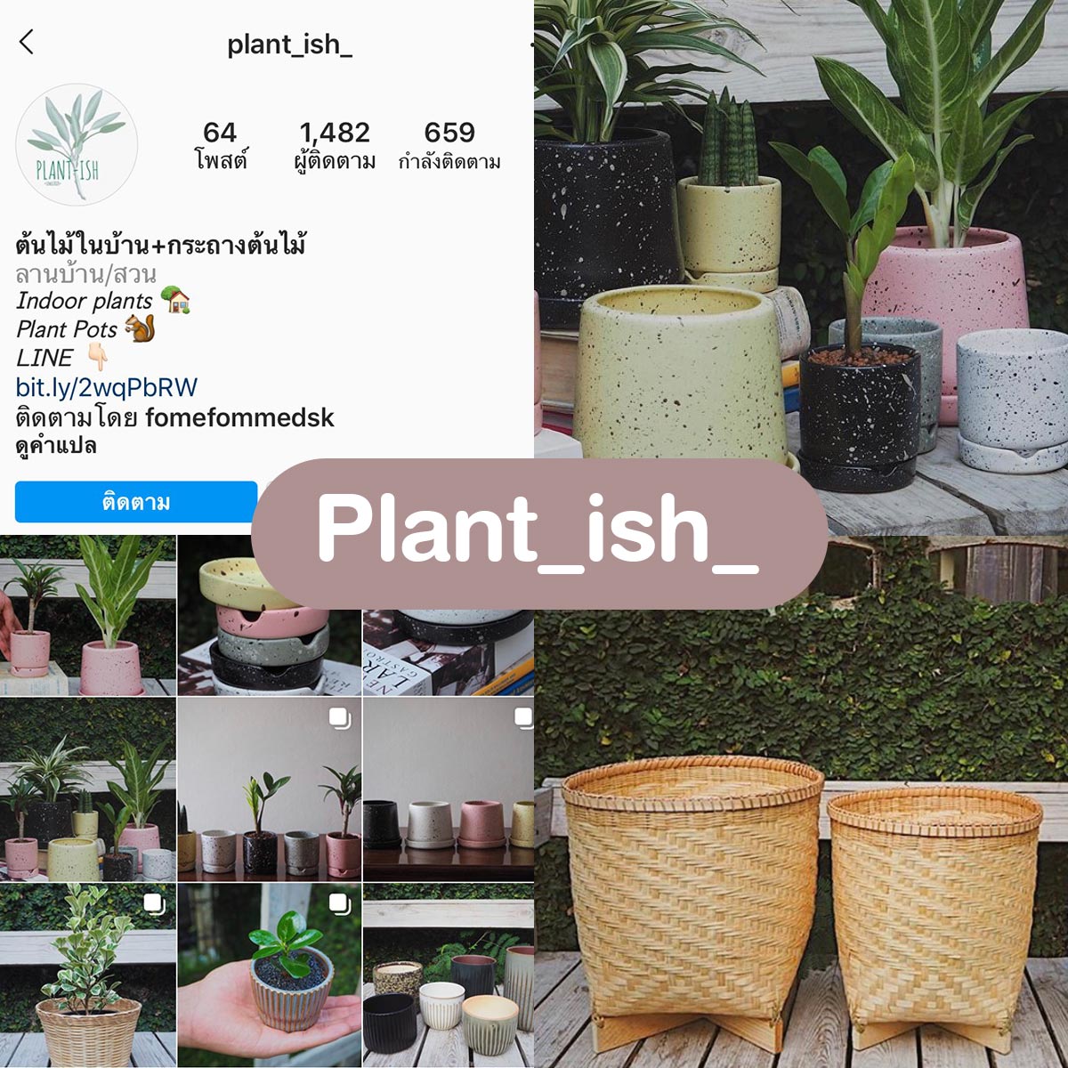 plant_ish_