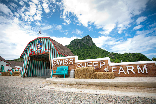  Swiss Sheep Farm - จุดเช็คอินเพชรบุรี 