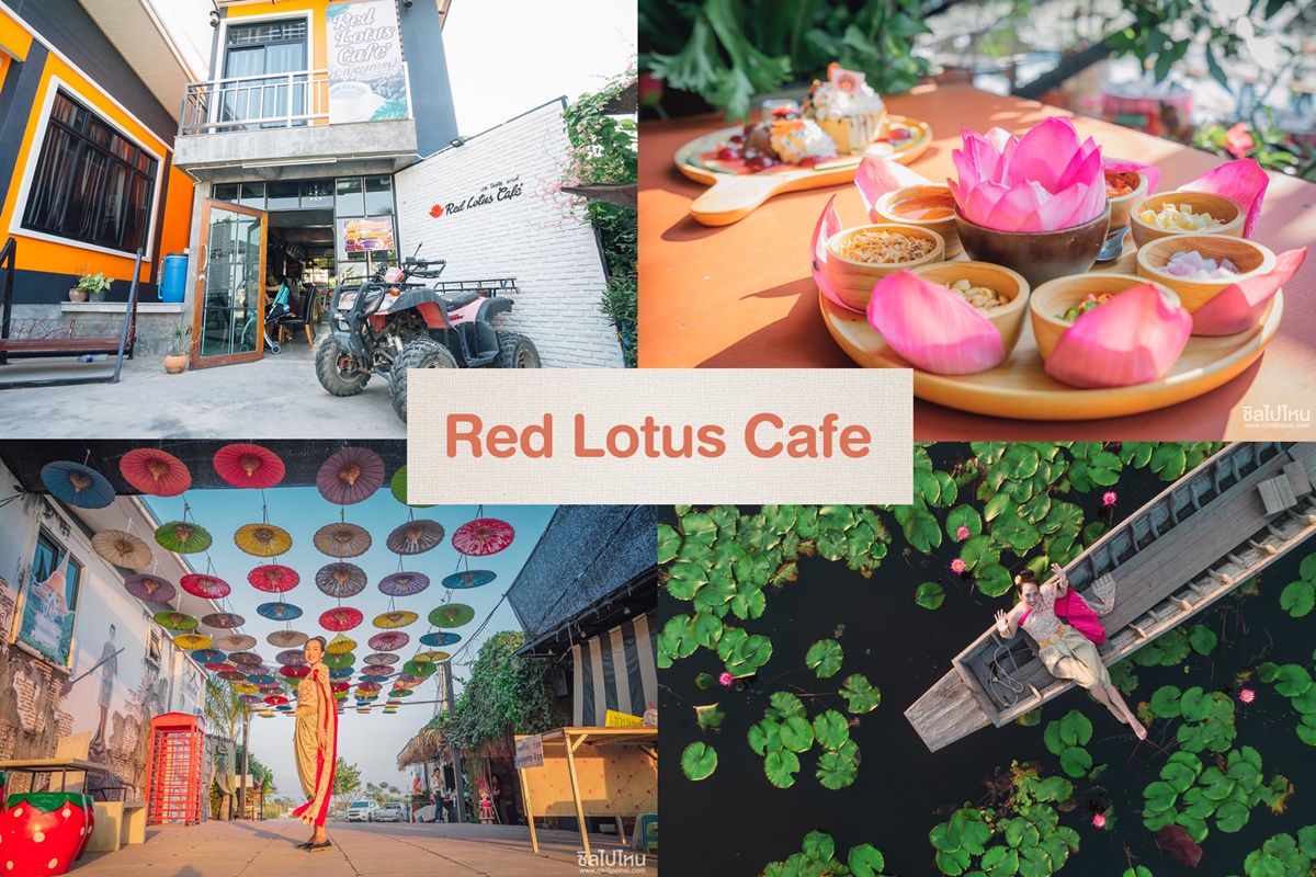 คาเฟ่นครปฐม Red Lotus Café