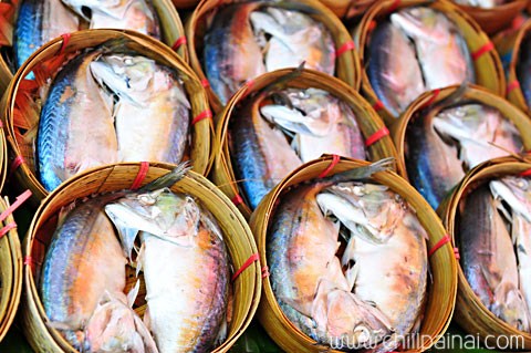 เที่ยวอัมพวา กินปลาทู ดูหิ่งห้อย เดินทอดน่องช็อปปิ้งของอร่อยริมคลอง