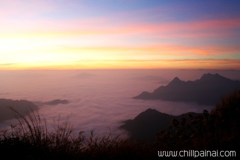 ภูชี้ฟ้า Phu Cheefah เชียงราย