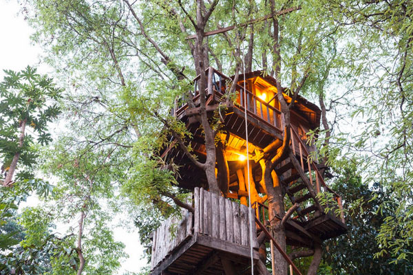 Tamarind cottage treehouse - Chiangmai