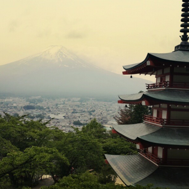 Pocket WiFi Router คืออะไร ทำไมคนไปเที่ยวญี่ปุ่นเขานิยมใช้กัน