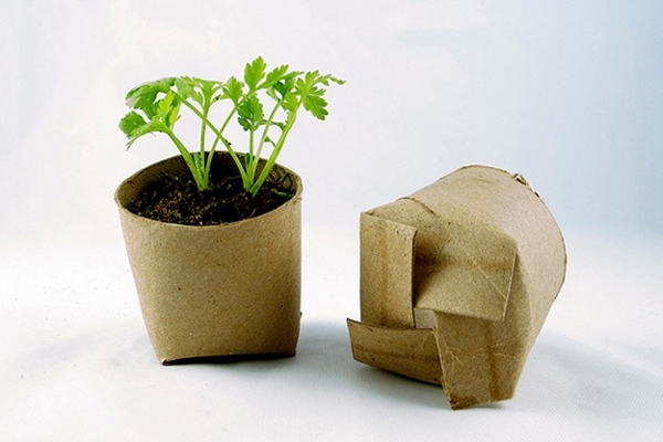 DIY 15 u0e23 u0e39 u0e1b u0e41 u0e1a u0e1a u0e01 u0e23 u0e30 u0e16 u0e32 u0e07 u0e15 u0e49 u0e19 u0e44 u0e21 u0e49 u0e2a u0e38 u0e14 u0e40 u0e01 u0e4b u0e0a u0e34 u0e25 u0e44 u0e1b u0e44 u0e2b u0e19 Enfeite De Zíper ~ DIY 15 u0e23 u0e39 u0e1b u0e41 u0e1a u0e1a u0e01 u0e23 u0e30 u0e16 u0e32 u0e07 u0e15 u0e49 u0e19 u0e44 u0e21 u0e49 u0e2a u0e38 u0e14 u0e40 u0e01 u0e4b u0e0a u0e34 u0e25 u0e44 u0e1b u0e44 u0e2b u0e19