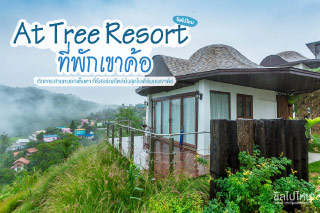 ทักทายสายหมอกเต็มตาที่ At Tree Resort รีสอร์ทสไตล์ม้งสุดโมเดิร์นบนเขาค้อ