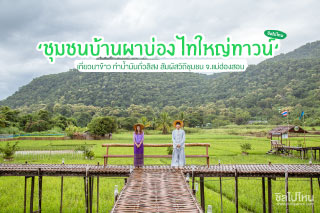 เที่ยวนาข้าว ทำน้ำมันถั่วลิสง สัมผัสวิถีชุมชนที่ ‘ ชุมชนบ้านผาบ่อง ไทใหญ่ทาวน์ ‘ จ.แม่ฮ่องสอน