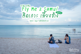 Fly Me 2 Samui : ติดเกาะ เลี้ยงช้าง 3 วัน 2 คืน เพราะ ' สมุย ' ไม่ได้มีดีแค่ทะเล ! 