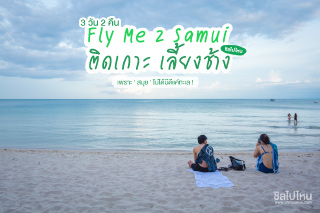 Fly Me 2 Samui : ติดเกาะ เลี้ยงช้าง 3 วัน 2 คืน เพราะ ' สมุย ' ไม่ได้มีดีแค่ทะเล !