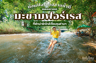 นอนฟังเสียงสายน้ำที่ ‘มะขามฟอร์เรส’ นครนายก ที่พักน่ารักใกล้เขื่อนขุนด่านฯ