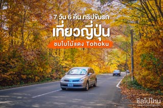 ทริปขับรถเที่ยวญี่ปุ่นชมใบไม้แดงด้วยตัวเอง ภูมิภาคโทโฮคุ (Tohoku) 7 วัน 6 คืน