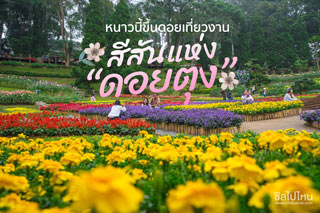หนาวนี้อย่าพลาด! งานสีสันแห่งดอยตุง ครั้งที่ 5 In Doi Festival ความสนุกรับปีใหม่แบบไม่ซ้ำใคร