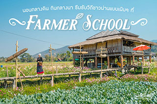 นอนกลางดิน กินกลางนา ซึมซับวิถีชาวน่านแบบเนิบๆ ที่โรงเรียนชาวนา ‘ Farmer School ’