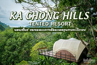 นอนเต็นท์ ชมหมอกท่ามกลางอ้อมกอดขุนเขาและไร่กาแฟที่ Kachong Hills Tented Resort 