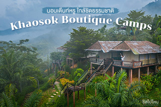 นอนเต๊นท์หรู ใกล้ชิดธรรมชาติ ที่ Khaosok Boutique Camps สุราษฎร์ธานี