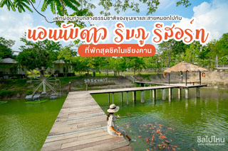 พักผ่อนท่ามกลางธรรมชาติของขุนเขาและสายหมอกไปกับ 'นอนนับดาว ริมภู รีสอร์ท' ที่พักสุดชิคในเชียงคาน