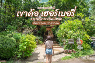 เอนกายพักใจที่ 'เขาค้อ เฮอร์เบอรี่ ออแกนิกฟาร์ม แอนด์ รีสอร์ท' ที่พักของคนรักสุขภาพ