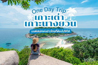 One Day Trip เกาะเต่า-เกาะนางยวน มนต์เสน่ห์แห่งอ่าวไทยที่ต้องไปให้ได้