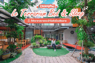 Le Terrarium Bed & Sleep Chiang Rai  ที่พักราคาสบายกระเป๋าในตัวเมืองเชียงราย