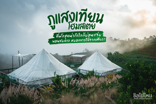 ภูแสงเทียน โฮมสเตย์ ที่พักสุดน่ารักใกล้ม่อนแจ่ม นอนชมดาว หมอกขาวได้จากเตียง!