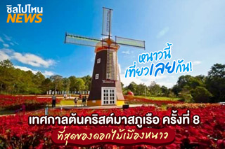 หนาวนี้เที่ยวเลยกัน! กับ เทศกาลต้นคริสต์มาสภูเรือ ครั้งที่ 8 ที่สุดของดอกไม้เมืองหนาว