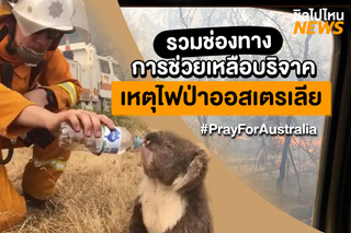 รวมช่องทางการบริจาคและช่วยเหลือเหตุการณ์ไฟป่าในออสเตรเลีย