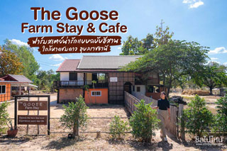 The Goose Farm Stay & Cafe  ฟาร์มสเตย์น่ารักแบบฉบับอีสาน ใกล้ หาดชมดาว อุบลราชธานี