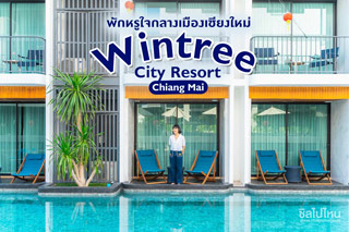 พักหรูใจกลางเมืองเชียงใหม่ ที่ Wintree City Resort Chiang Mai
