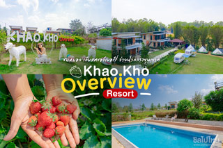 ชมหมอก เก็บสตรอว์เบอร์รี่ ว่ายน้ำกลางขุนเขาที่ Khao Kho Overview Resort 