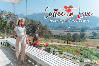 ตามหารักแท้  ที่ Coffee in Love ร้านกาแฟสุดน่ารักของเมืองปาย