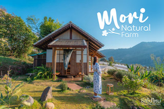 Mori Natural Farm ฟาร์มสเตย์สุดน่ารักสไตล์ญี่ปุ่นท่ามกลางขุนเขาที่ เชียงใหม่