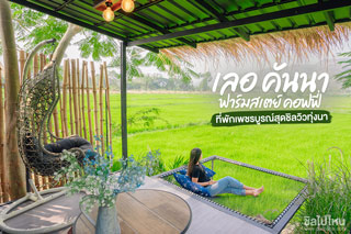 เลอ คันนา ฟาร์มสเตย์ คอฟฟี่ ที่พักเพชรบูรณ์สุดชิลวิวทุ่งนา