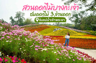 สวนดอกไม้บางกะเจ้า 'Dok Kachao in the city' ชมดอกไม้ 3 ล้านดอก ริมแม่น้ำเจ้าพระยา