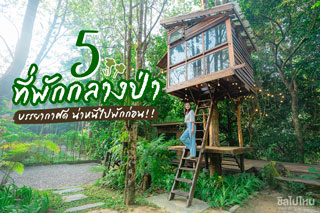 5 ที่พักกลางป่า บรรยากาศดี น่าหนีไปพักก่อน!