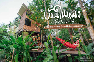 บ้านในหมง@ระนอง บ้านเล็กกลางป่าใหญ่ นอนฟินอิงแอบธรรมชาติ