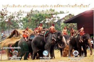 ชวนเที่ยวงานมหัศจรรย์งานช้างสุรินทร์ ประจำปี 2556 ครั้งที่ 53