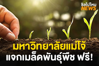 มหาวิทยาลัยแม่โจ้ แจกเมล็ดพันธ์ุพืชผักสวนครัว ฟรี!