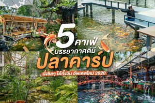 5 คาเฟ่บรรยากาศดีมีปลาคาร์ป นั่งชิลๆ ได้ทั้งวัน อัพเดตใหม่ 2020