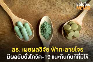 สธ. เผยผลวิจัย ฟ้าทะลายโจรมีผลยับยั้งโควิด-19 แนะกินทันทีที่มีไข้
