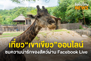 สวนสัตว์เปิดเขาเขียว ไลฟ์สดชีวิตสัตว์ชนิดต่างๆ ผ่านเพจเฟซบุ๊ก