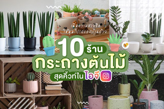 เพิ่มความสวยชิคให้มุมโปรดของบ้านด้วย 10 ร้านกระถางต้นไม้สุดคิ้วท์ในไอจี