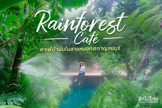 Rainforest Cafe คาเฟ่ป่าฝนในสายหมอกใจกลางเมืองกาญจนบุรี
