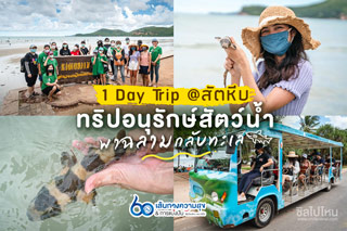 1 Day Trip @สัตหีบ ทริปอนุรักษ์สัตว์น้ำ พาฉลามกลับทะเล