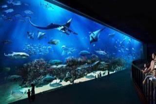 รีวิว Marine Life Park สิงคโปร์ ตอนที่1 : เที่ยว S.E.A Aquarium อควาเรียมที่ใหญ่ที่สุดในโลก