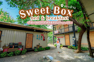 Sweet Box bed & breakfast  ที่พักสุดชิคสไตล์ตู้คอนเทนเนอร์  บนเกาะล้าน @ ชลบุรี 