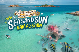 ทริปดำน้ำอ่าวแสมสาร ดูฝูงปลา ตกหมึก ใกล้กรุงฯ  2 วัน 1 คืน ไปกับ Sea Sand Sun Samaesarn