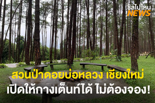 สวนป่าดอยบ่อหลวง อ.อ.ป. เชียงใหม่ เปิดให้กางเต็นท์ได้ ไม่ต้องจอง!